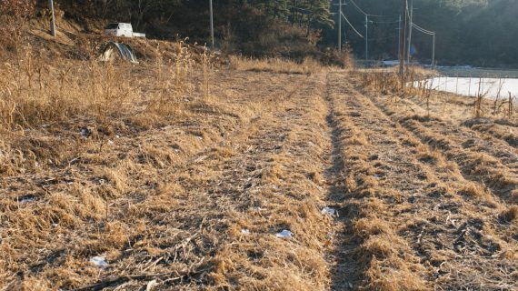 Read more about the article 겨울 밭