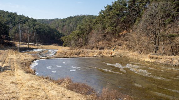Read more about the article 모하, 이제는 멀리가서 논다.