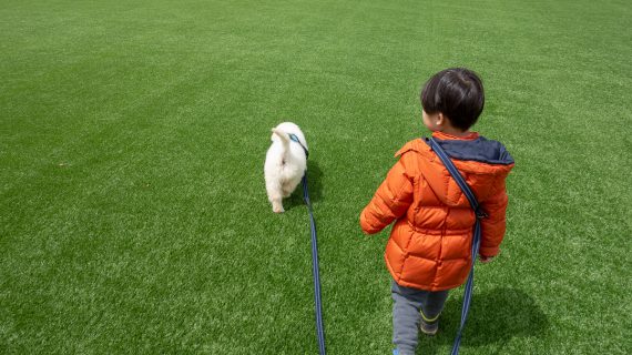 Read more about the article 봄눈이와 산책