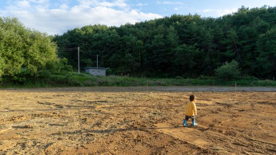 Read more about the article 축사 터닦이