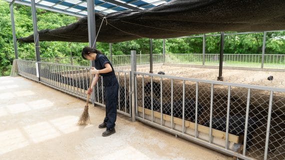 Read more about the article 합동단속반이 와서 하는 말, 이런 돈사 처음