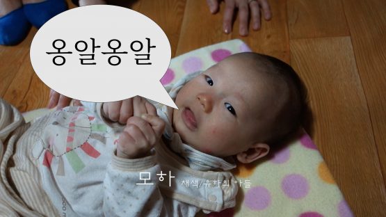 Read more about the article 백일 아기의 옹알이 – 대화가 되는데?
