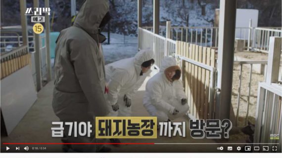 Read more about the article 쓰리박에 나온 친환경 흑돼지 우리돼지농장은 하하농장입니다.