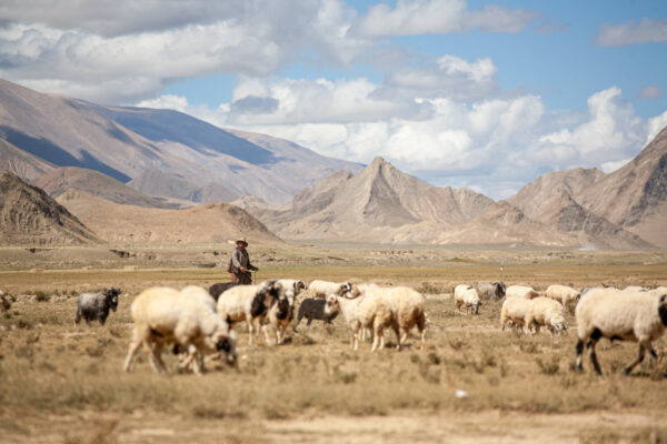 27편_티베트 자전거 여행 풍경 모음